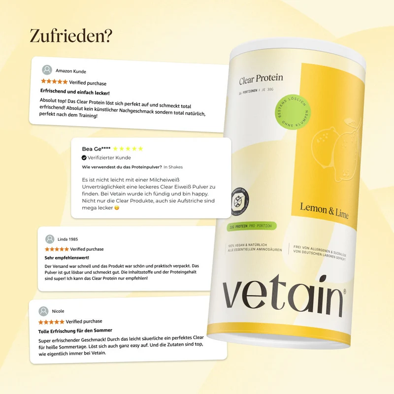 Vegan Clear Protein Lemon & Lime (480g)