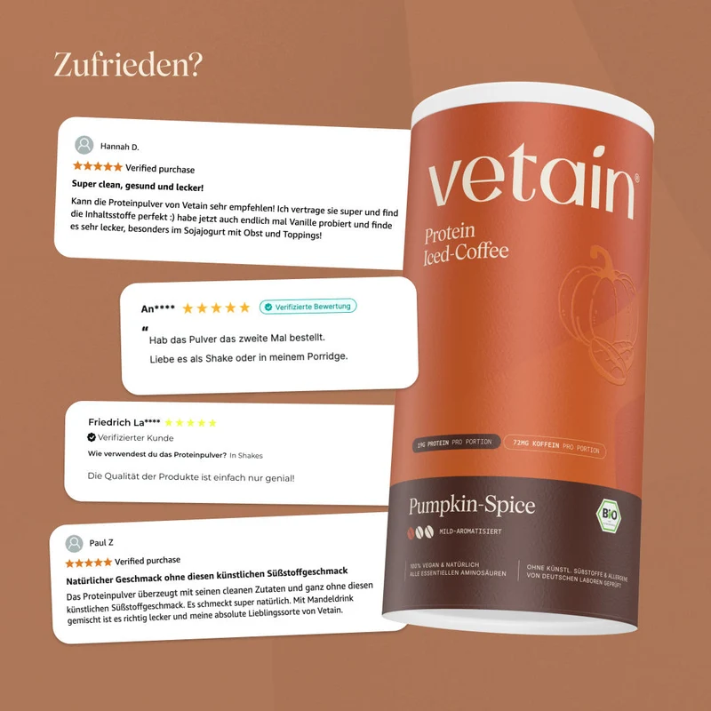 Vegan Protein Iced-Coffee Pumpkin Spice (540g/BIO)
