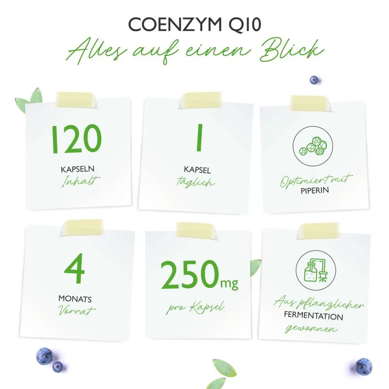 Q10 Coenzym (120 Kapseln a 250mg)