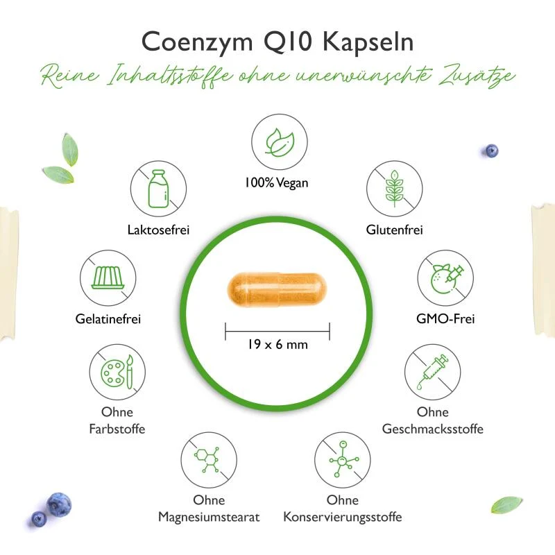 Q10 Coenzym (120 Kapseln a 250mg)