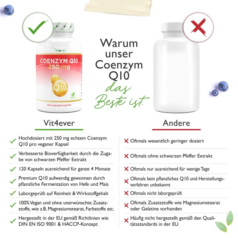 Q10 Coenzym (120 Kapseln a 250mg)
