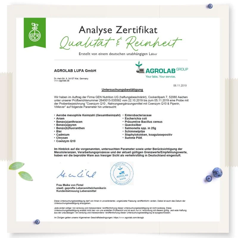 Q10 Coenzym (120 Kapseln a 250mg)