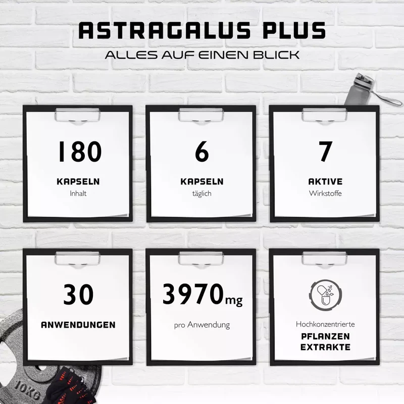 Astragalus Plus - Kidney flush Complex ( 180 Kapseln )