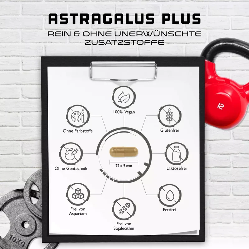 Astragalus Plus - Kidney flush Complex ( 180 Kapseln )