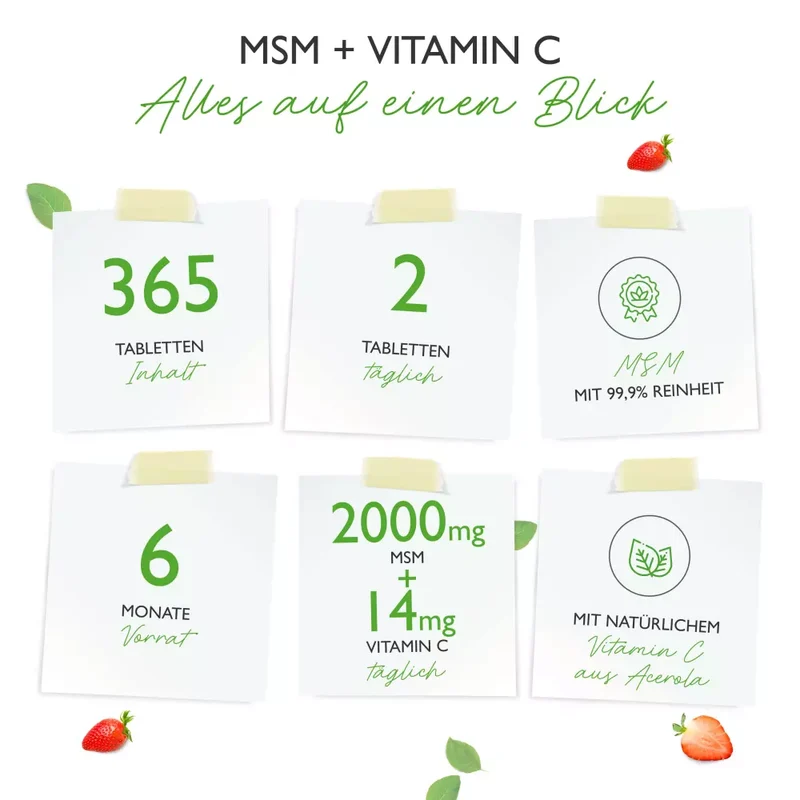 MSM Plus Vit4ever (365 Tabletten -1000mg)