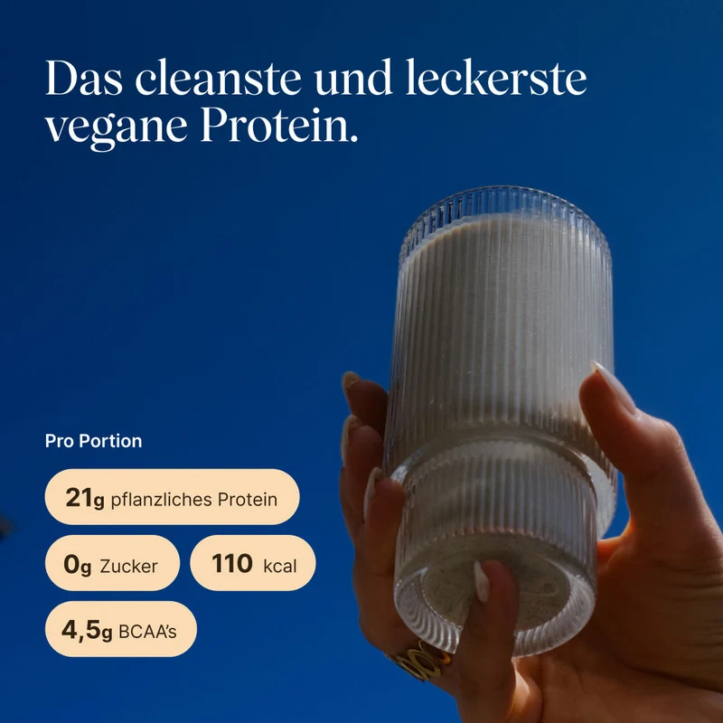 Vegan Protein Zimt (540g/BIO)