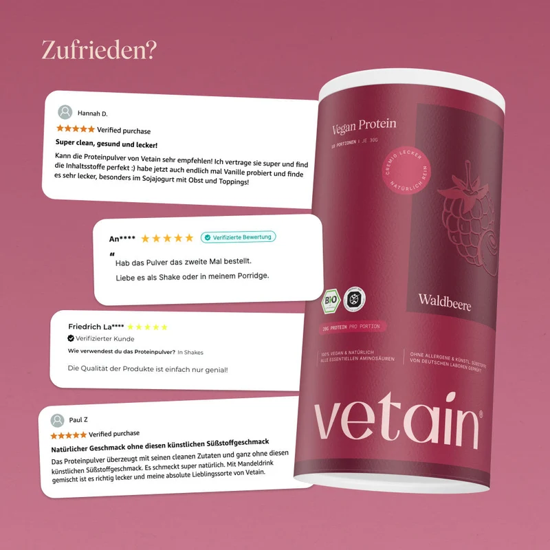 Vegan Protein Beere (540g/BIO)