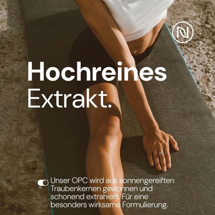 OPC Traubenkernextrakt, 240 Kapseln – Dein pflanzlicher Begleiter für stressige Tage & innere Ruhe