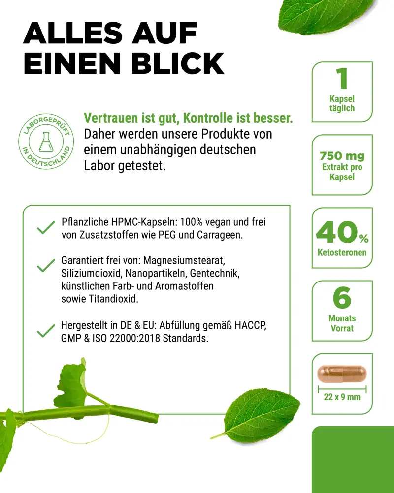 Cissus Intenso (180 Kapsel - 725 mg Extrakt - 40% Ketosterone)