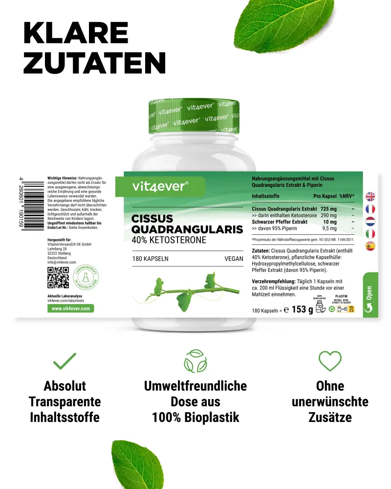 Cissus Intenso (180 Kapsel - 725 mg Extrakt - 40% Ketosterone)