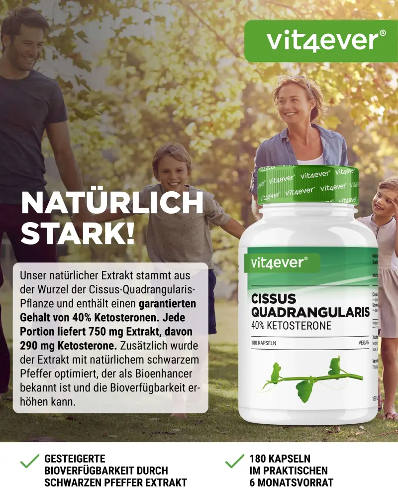 Cissus Intenso (180 Kapsel - 725 mg Extrakt - 40% Ketosterone)