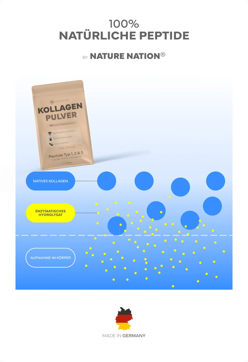 3er-Set Kollagen Pulver Hydrolysat, 450g - 100% Peptide Typ I, II & III, geschmacksneutral & leicht löslich