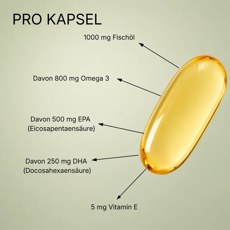 Omega-3 Fischöl 400 Kapseln 1000 mg – 500 EPA / 250 DHA – TG-Form