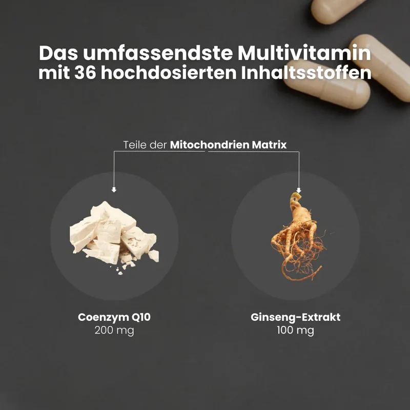 Multi Core®
