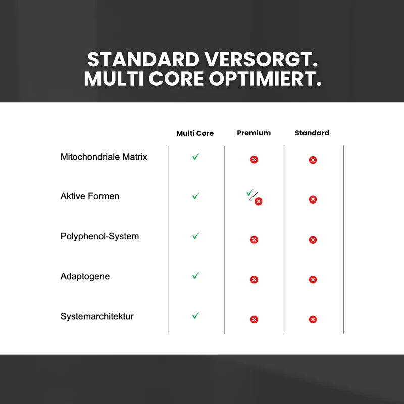 Multi Core®