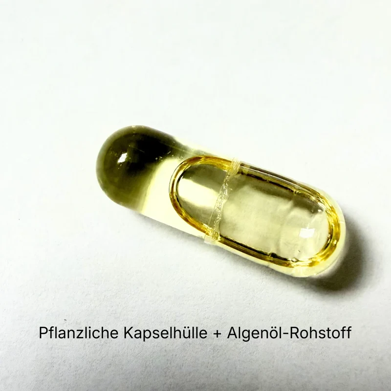 Vegane Omega 3 Kapseln mit Algenöl - 60 Kapseln