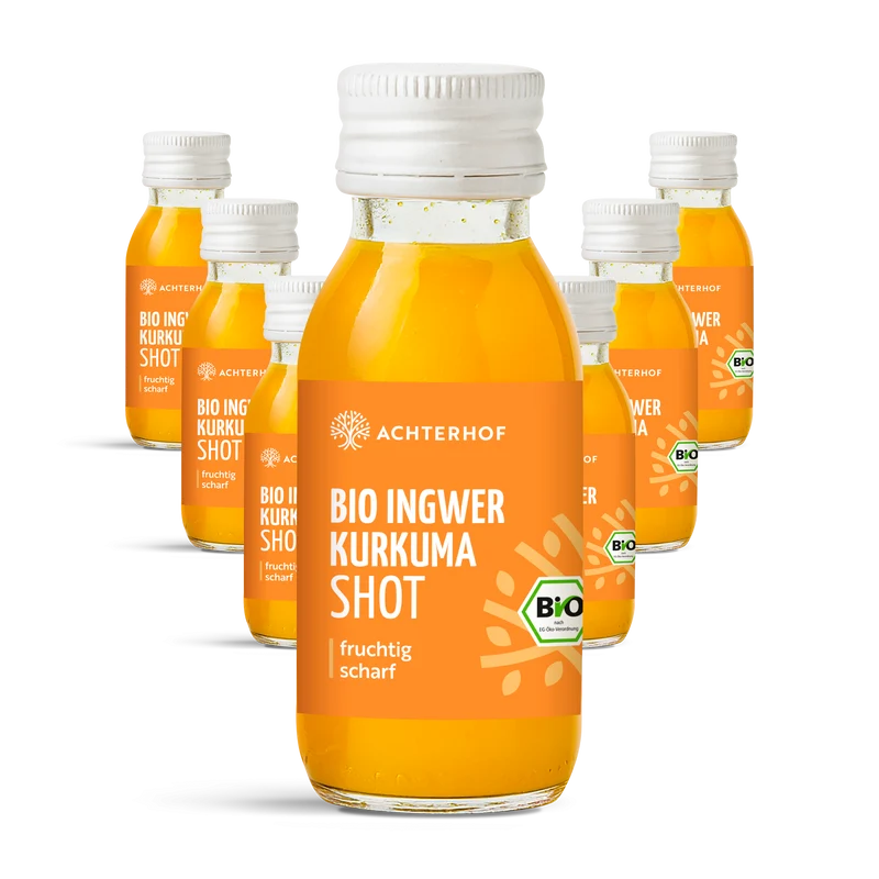 Fastendrinks 6 Flaschen Kräuterwunder Bio