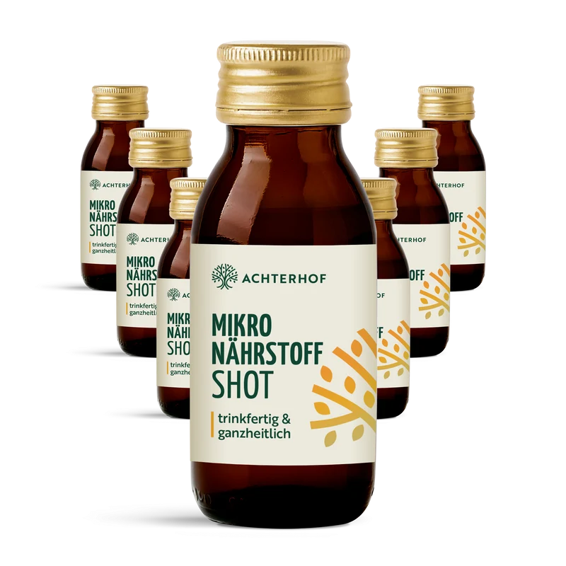 Fastendrinks 6 Flaschen Kräuterwunder Bio