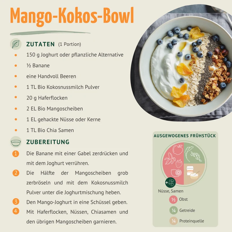 Bio Mangoscheiben gefriergetrocknet (100g)
