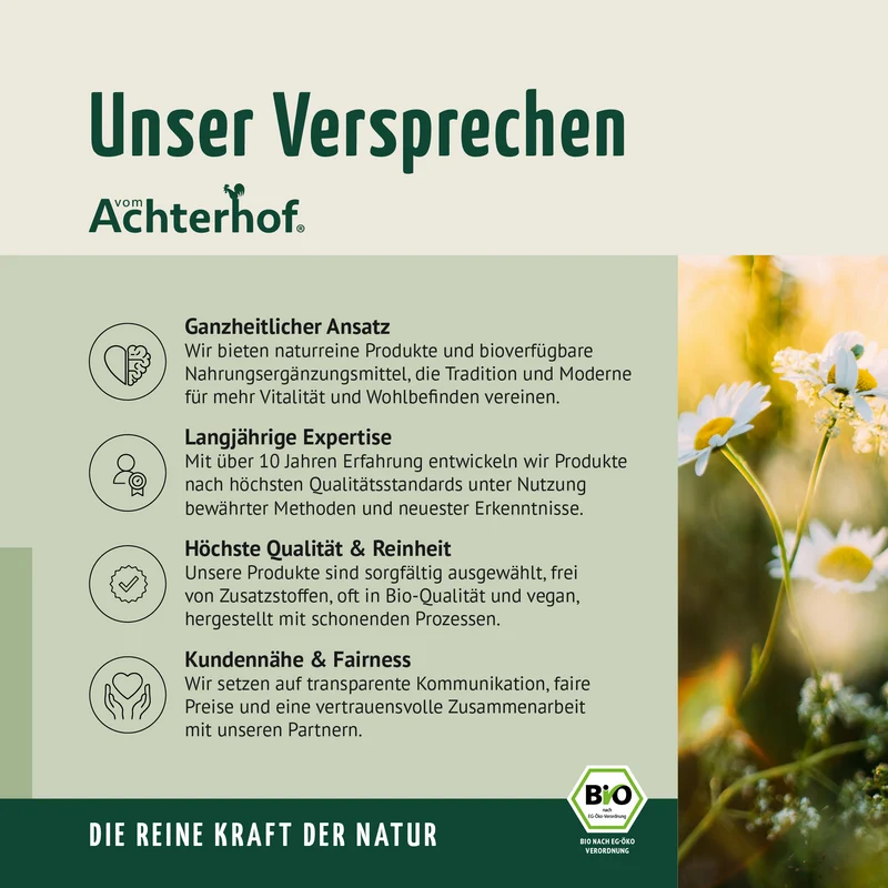 Hagebuttenpulver Bio (500g)