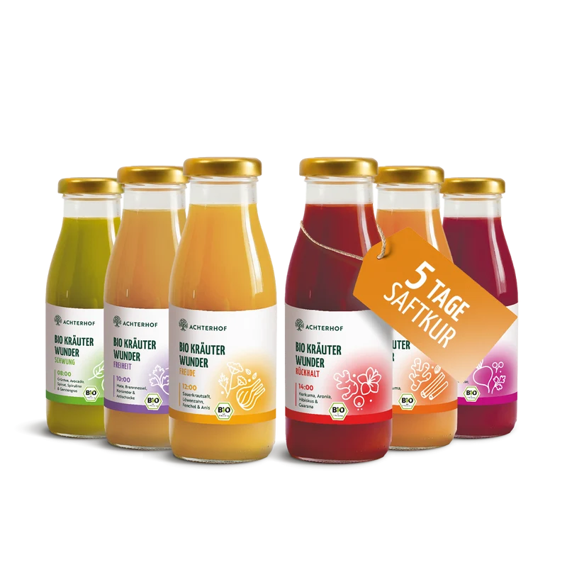 Kräuterwunder Bio Fastenkur 5 Tage (30 Flaschen)