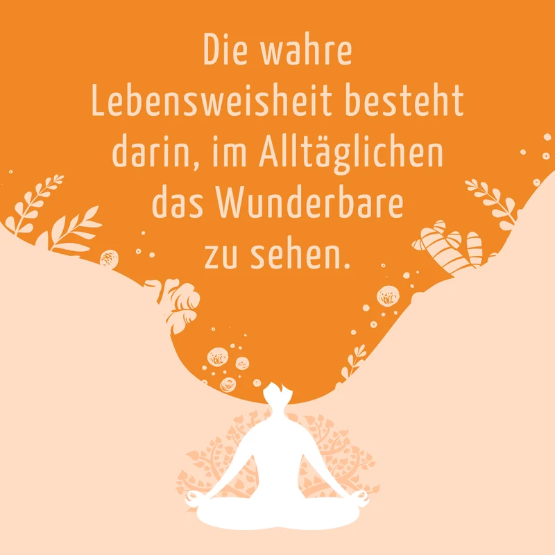 Golden Drink Bio (6 Flaschen)
