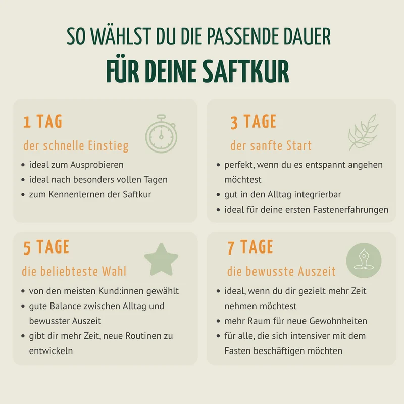 Saftzeit Bio Fastenkur 5 Tage (30 Flaschen)