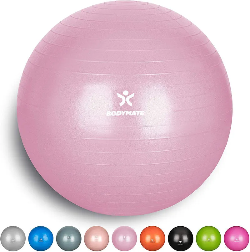 Ballon Fitness + Pompe Incluse