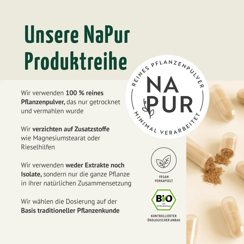 Ingwer Kapseln Bio Nachfüllpack (400 Kapseln)