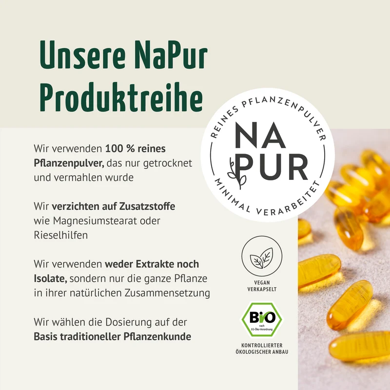 Schwarzkümmel-Öl Kapseln Bio (400 Kapseln)