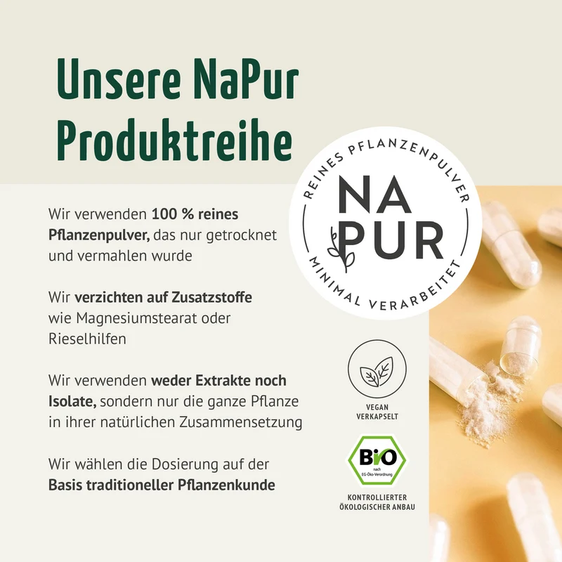 Ashwagandha Kapseln Bio Nachfüllpack (400 Kapseln)