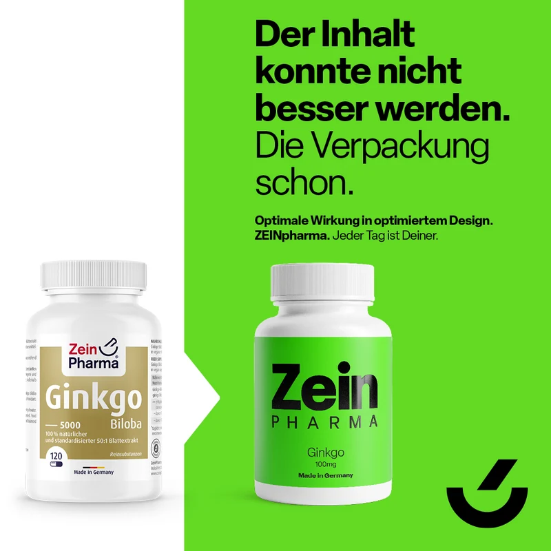 Ginkgo Biloba 100mg (120 Kapseln)