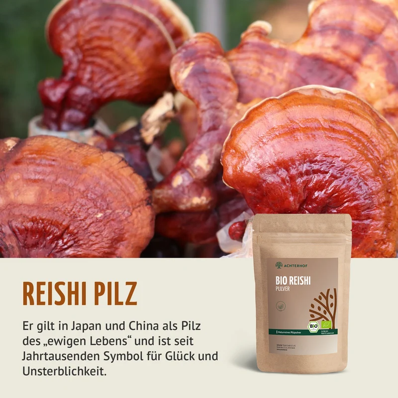 Bio Reishi Pilzpulver (100g)
