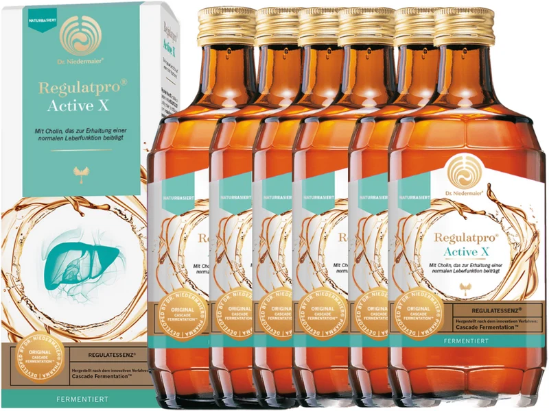 6x Regulatpro Active X (6x350ml)