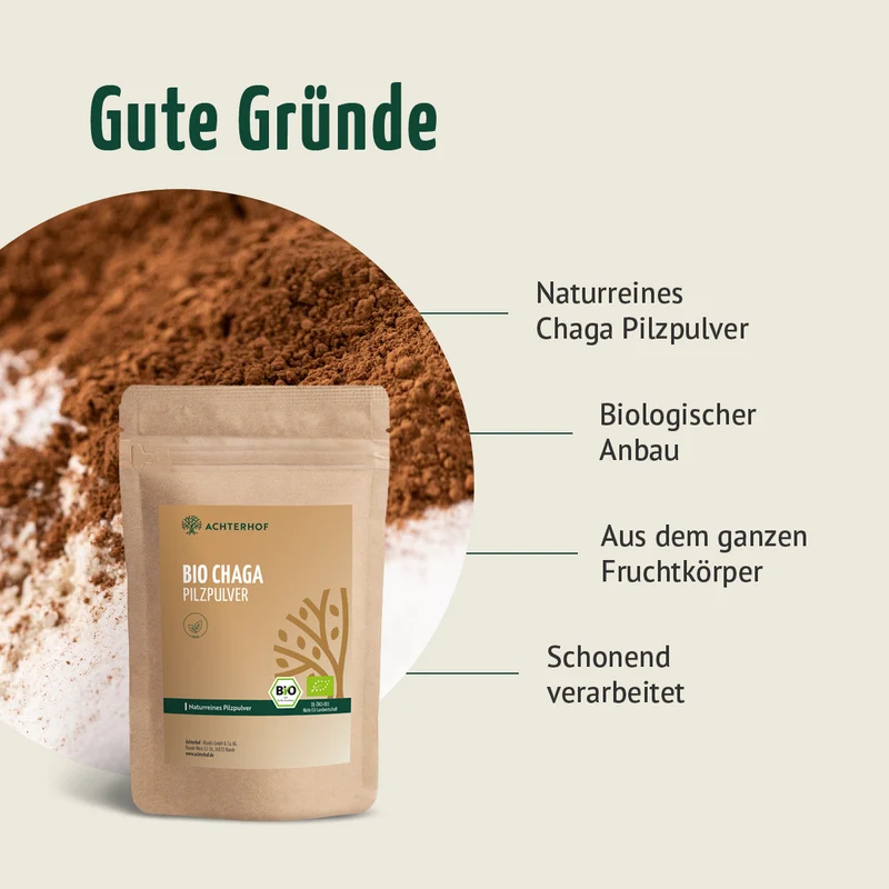 Bio Chaga Pilzpulver (100g)