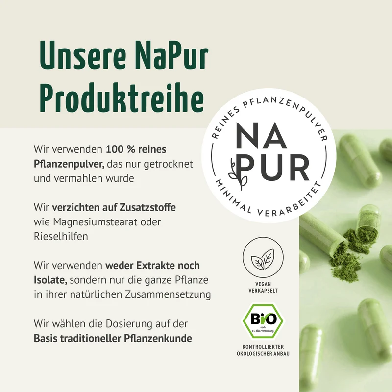 Bio Gerstengras Kapseln Nachfüllpack (400 Kapseln)
