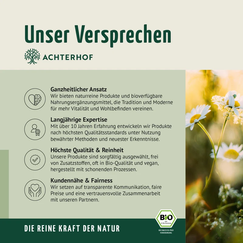 Bio Dattel Pulver (250g)
