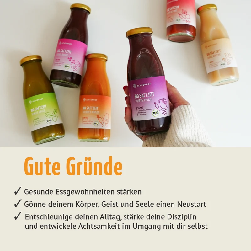 Saftzeit Bio Fastenkur 5 Tage (30 Flaschen)
