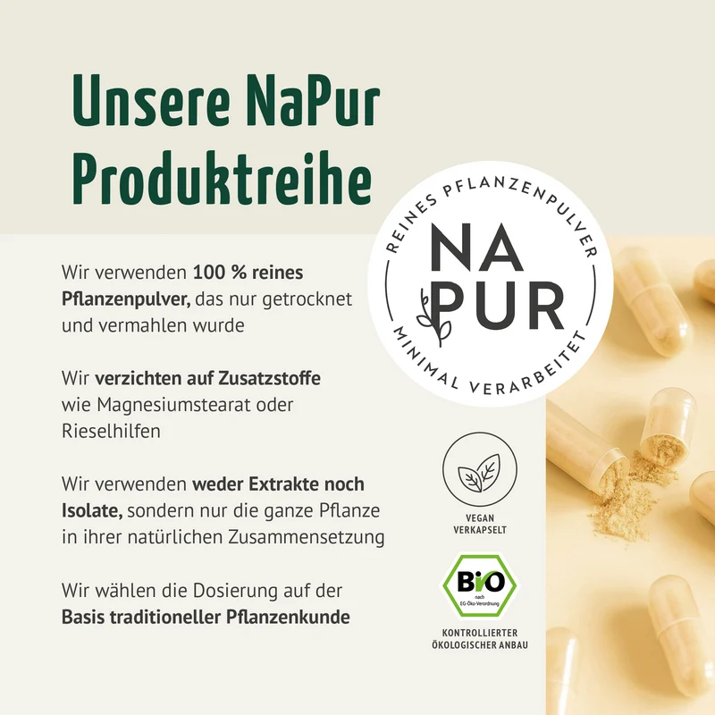 Bio Shatavari Kapseln Nachfüllpack (400 Kapseln)
