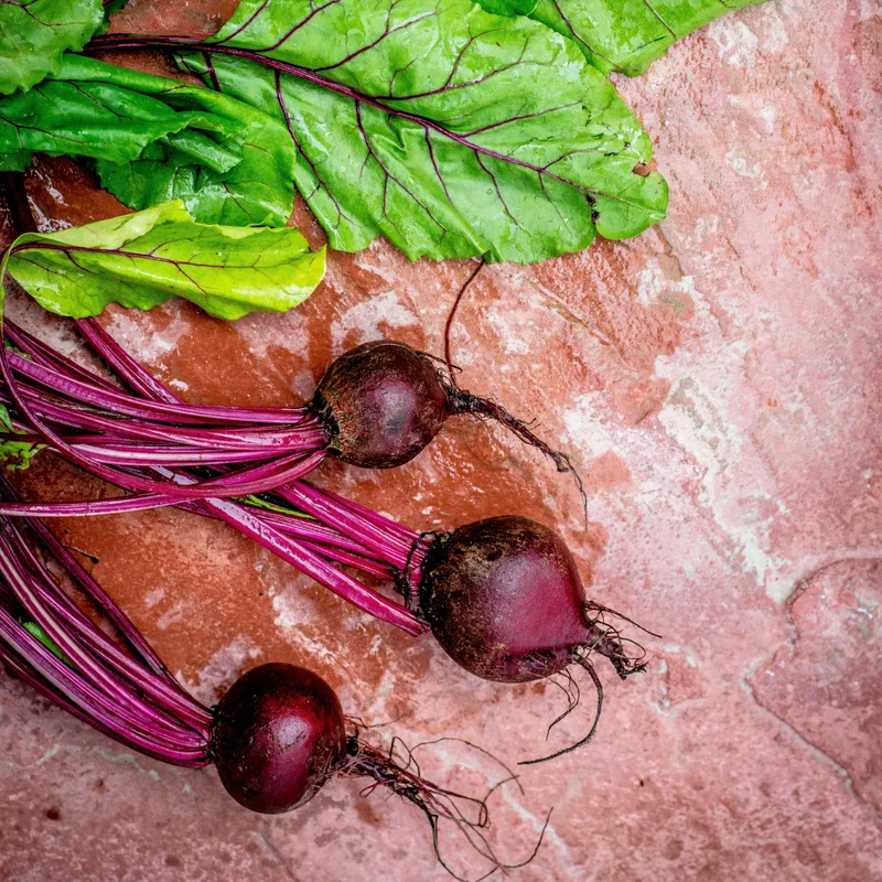 Rote Beete gemahlen (250g)
