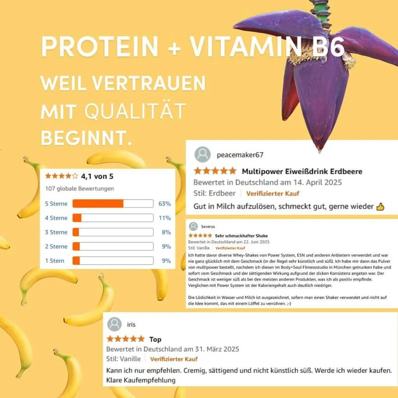 420g Whey Protein Pulver Banane | Mit Vitamin B6 (Artikel mit verkürzter Haltbarkeit)